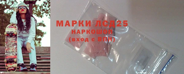 ECSTASY Бородино