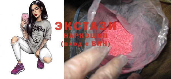 ECSTASY Бородино