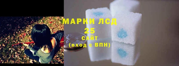 ECSTASY Бородино