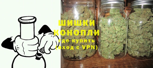ECSTASY Бородино