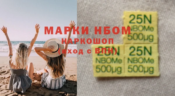 ECSTASY Бородино